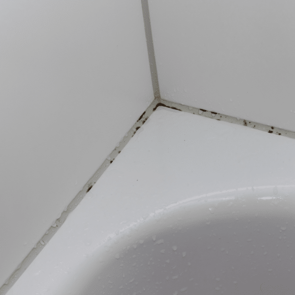 How to get rid of mould in silicone shower? Newline