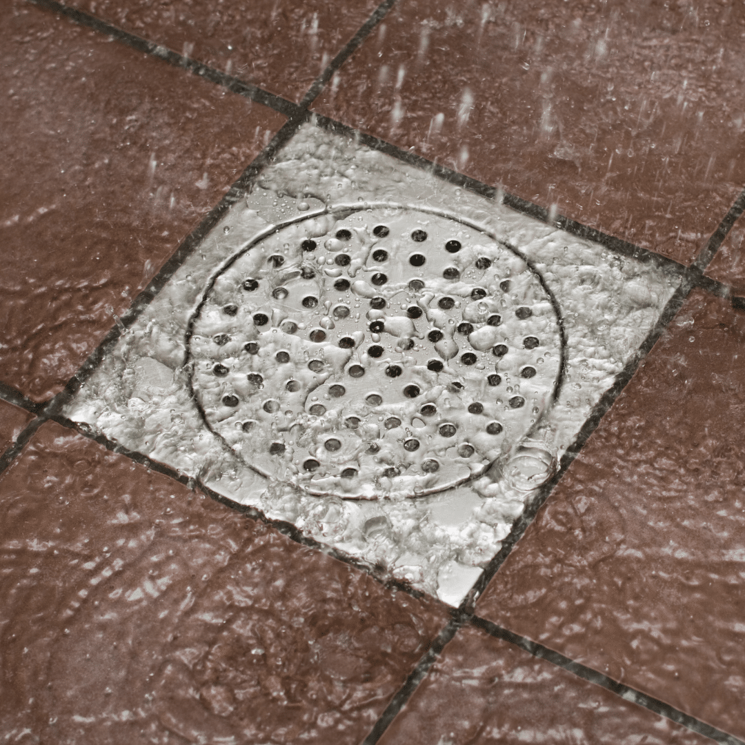 How to get rid of my shower drain smell? Newline